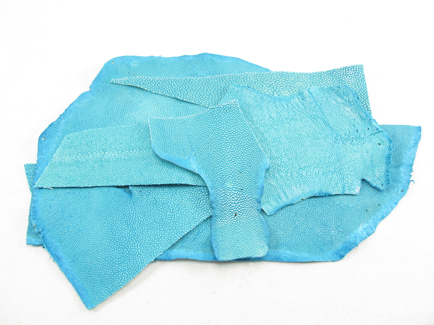 Genuine Polished Stingray Skin Leather Scraps Hide Pelt 100 grams