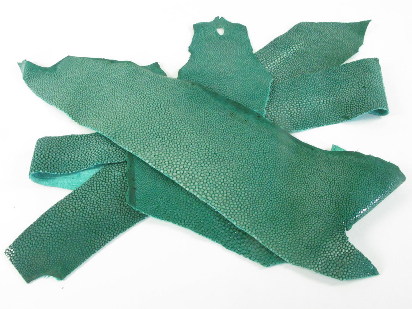 Genuine Polished Stingray Skin Leather Scraps Hide Pelt 100 grams