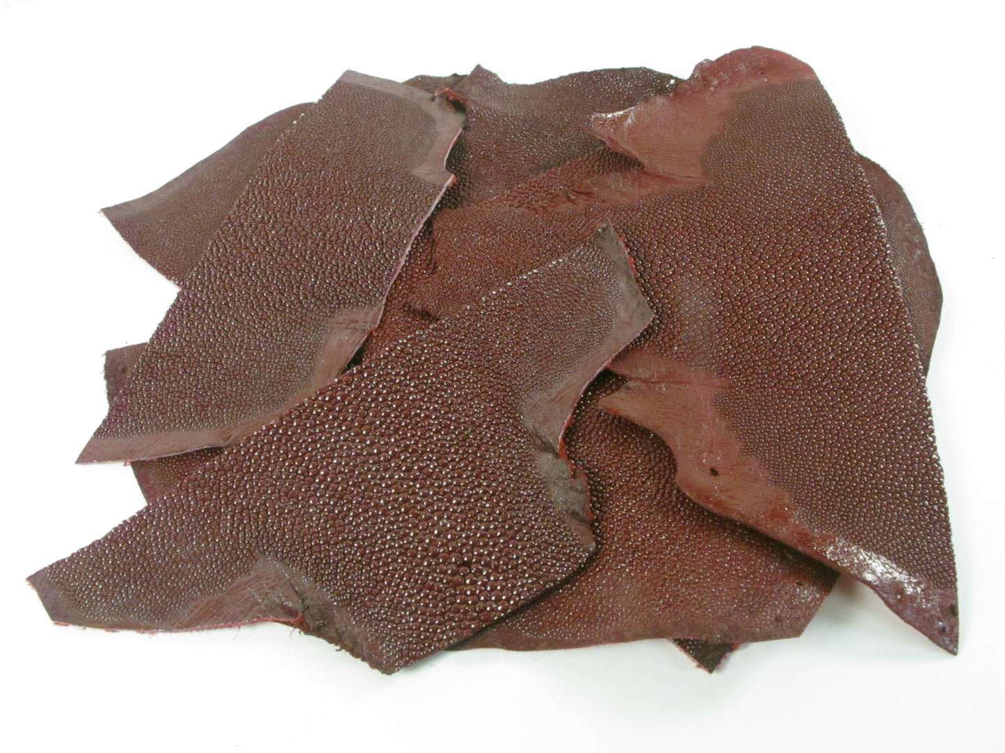 Genuine Stingray Skin Leather Scraps Hide Pelt 100 grams