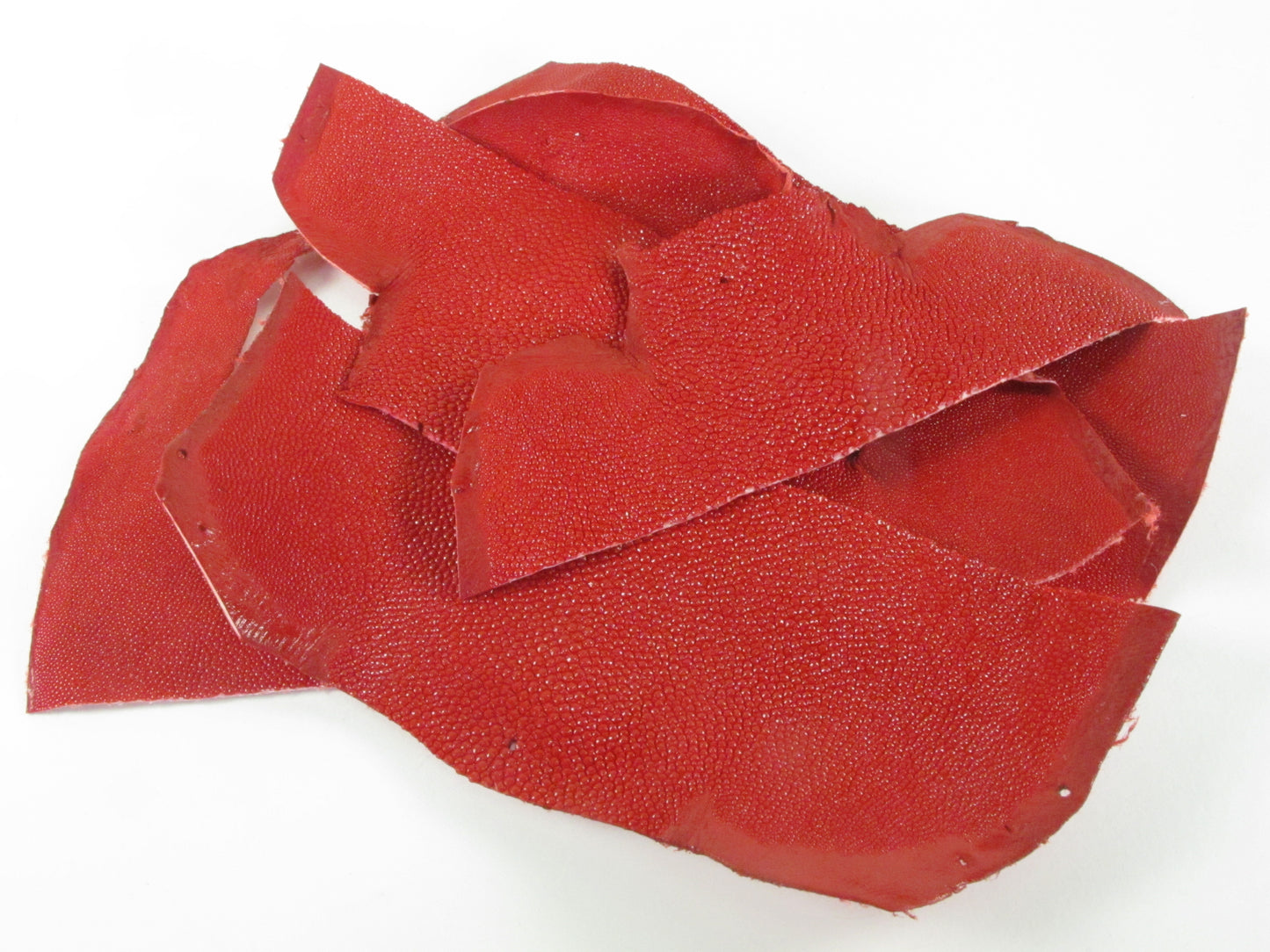 Genuine Stingray Skin Leather Scraps Hide Pelt 100 grams