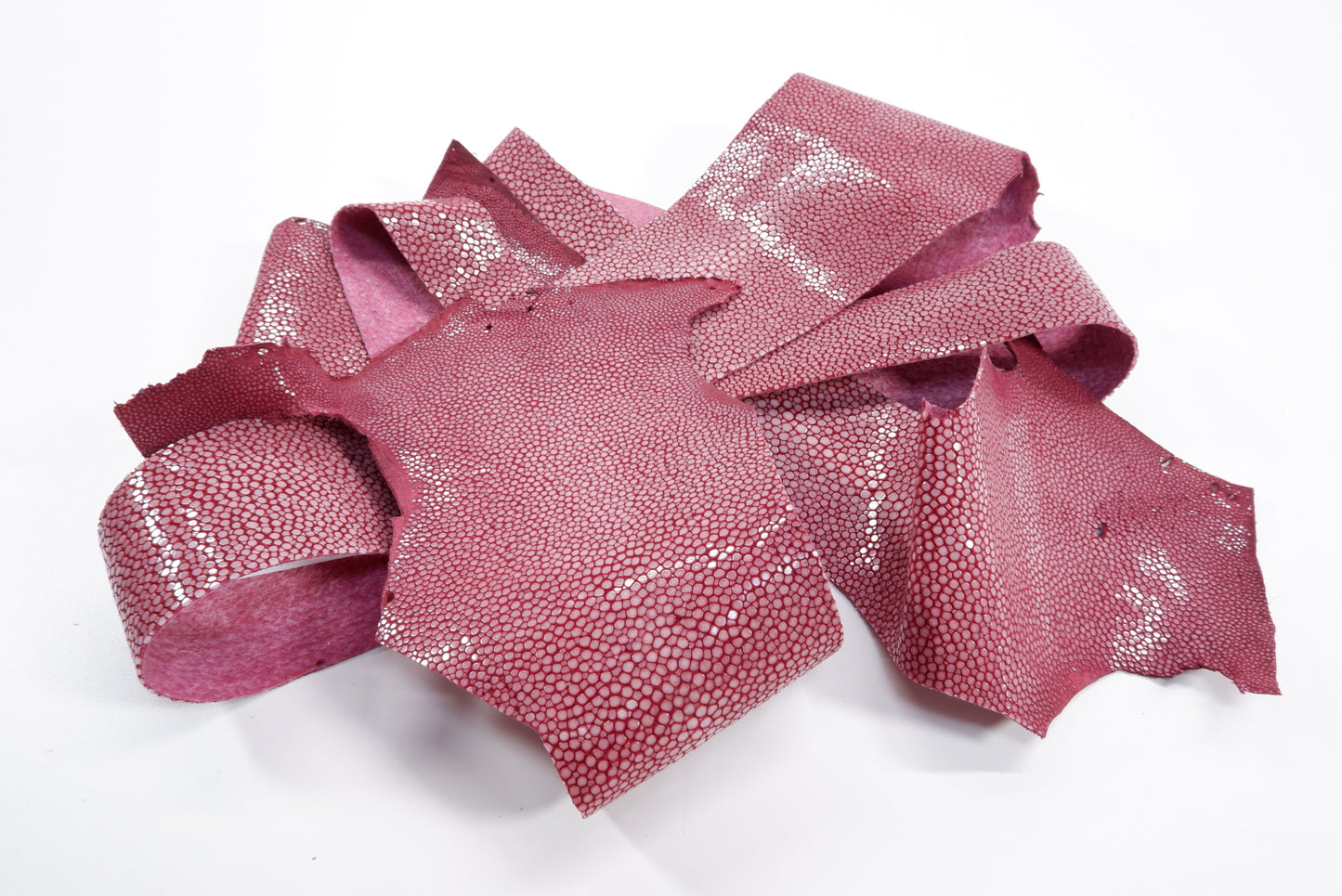 Genuine Polished Stingray Skin Leather Scraps Hide Pelt 100 grams