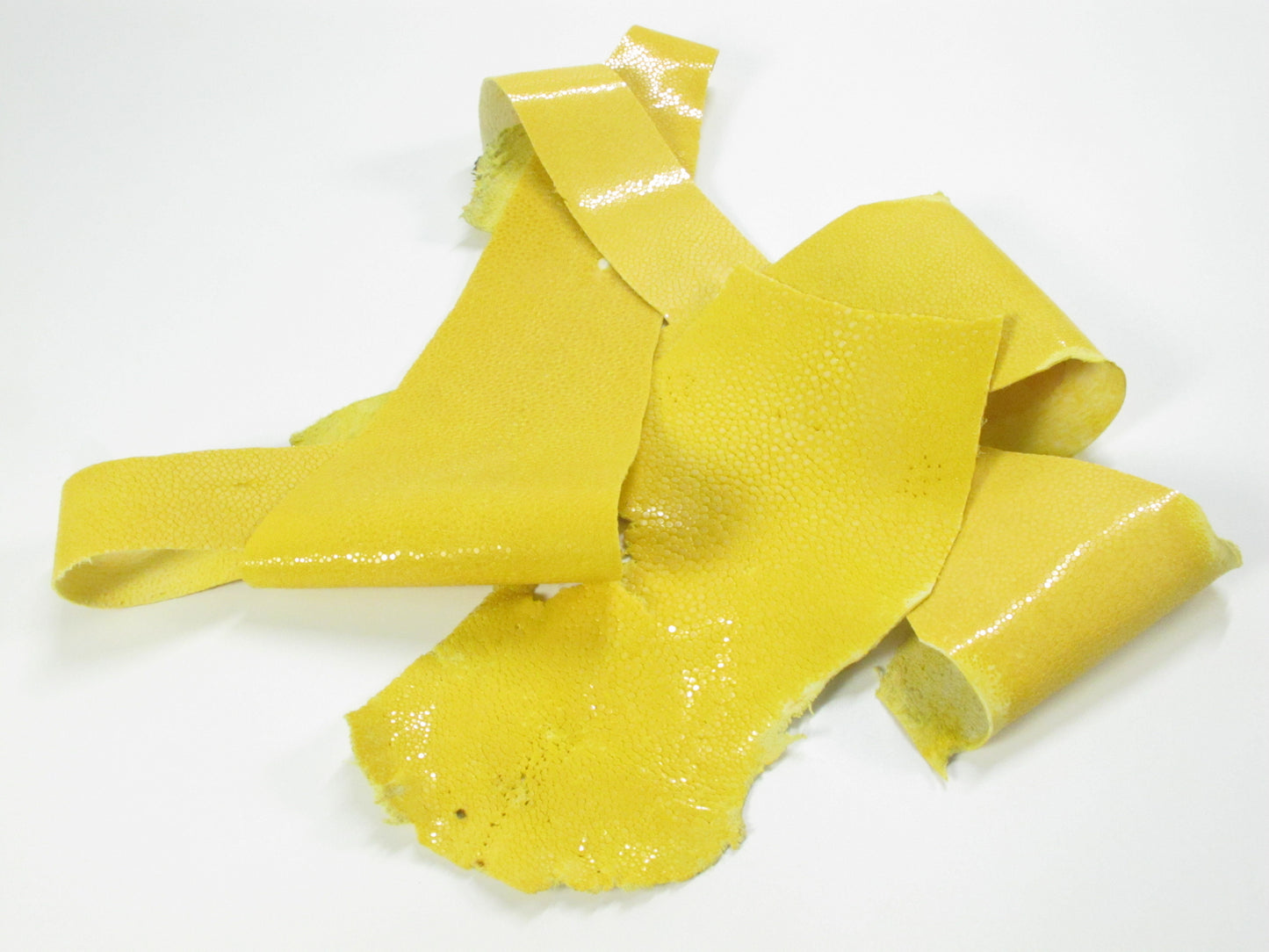 Genuine Polished Stingray Skin Leather Scraps Hide Pelt 100 grams