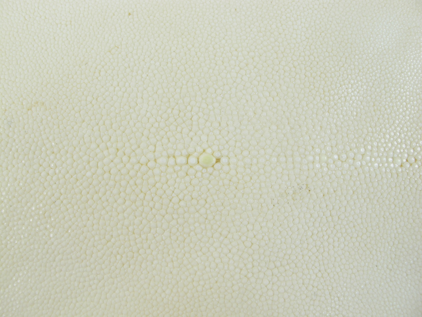 Genuine Dried Stingray Skin Long Shape for Japanese Samurai Sword Katana & Decorate