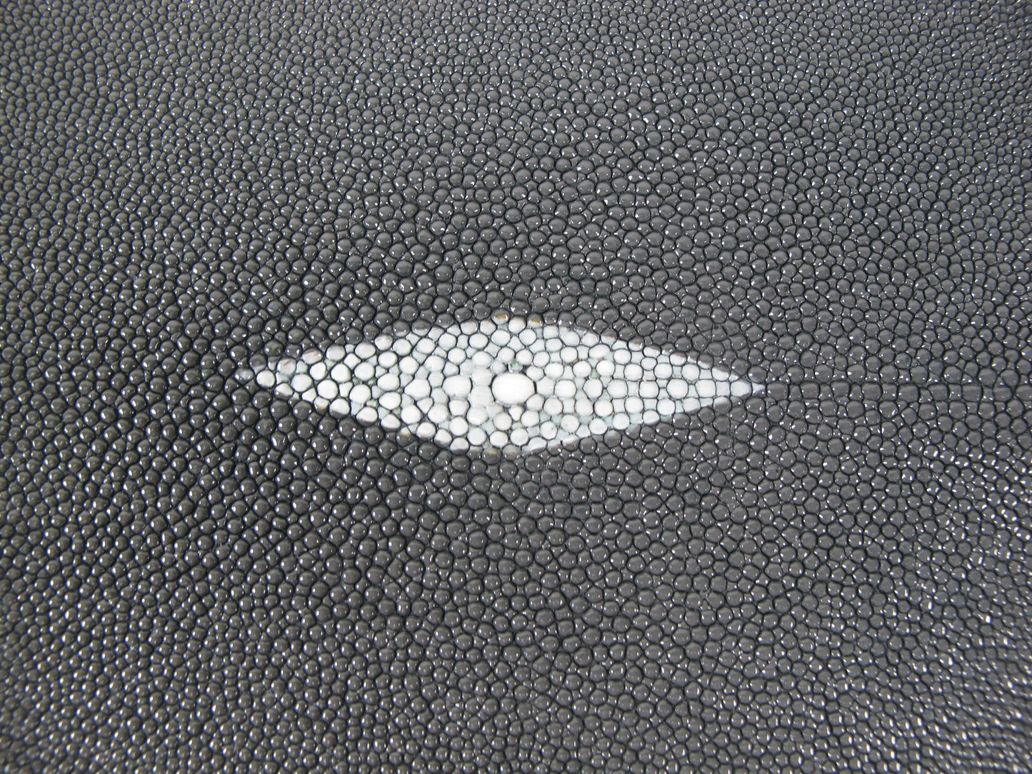 Genuine Stingray Skin Leather Long Shape Hide Pelt Traffic Grey