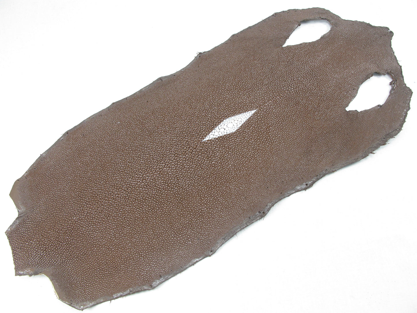 Genuine Stingray Skin Leather Long Shape Hide Pelt Nut Brown