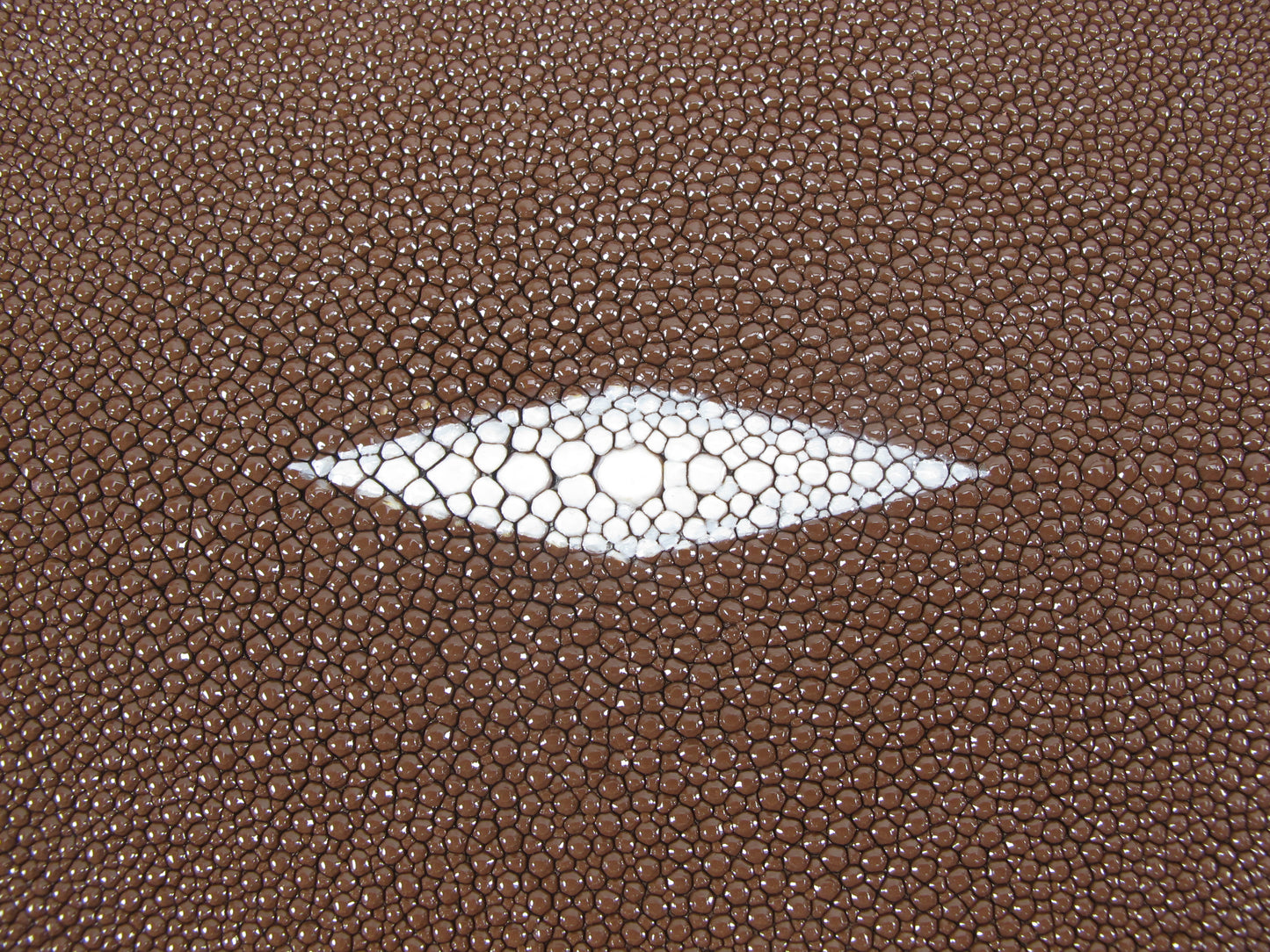 Genuine Stingray Skin Leather Long Shape Hide Pelt Nut Brown