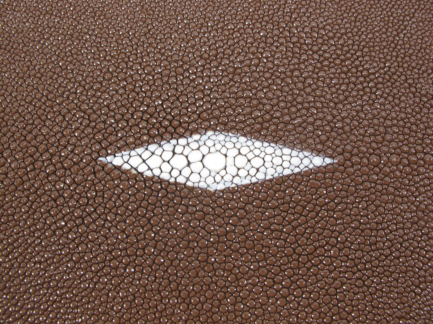 Genuine Stingray Skin Leather Long Shape Hide Pelt Nut Brown