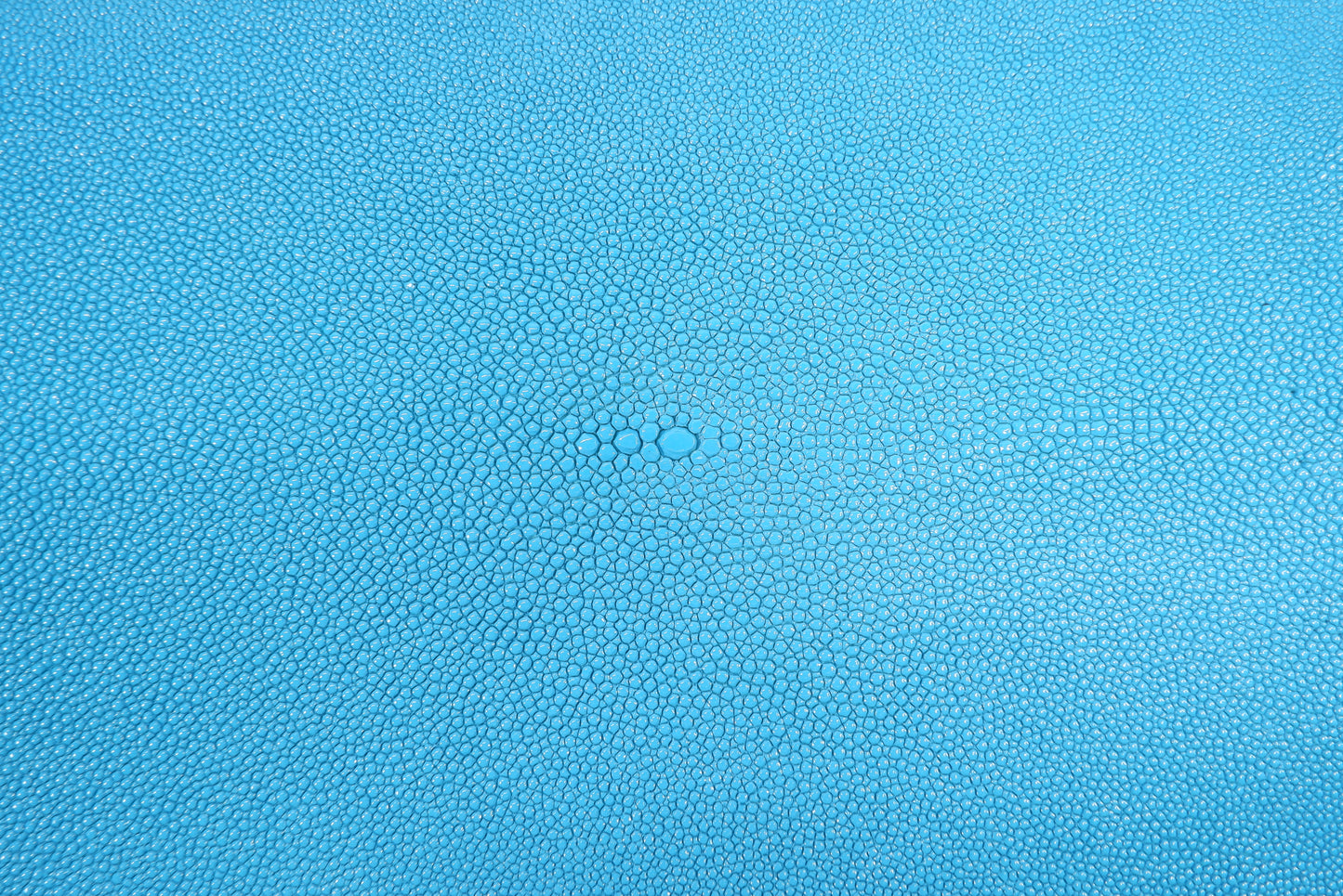 Genuine Stingray Skin Leather Long Shape Hide Pelt Turquoise Blue