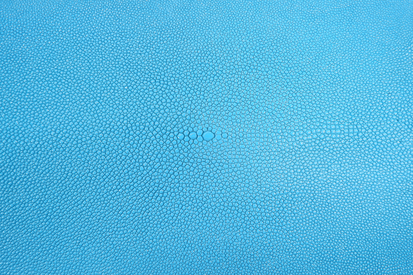 Genuine Stingray Skin Leather Long Shape Hide Pelt Turquoise Blue