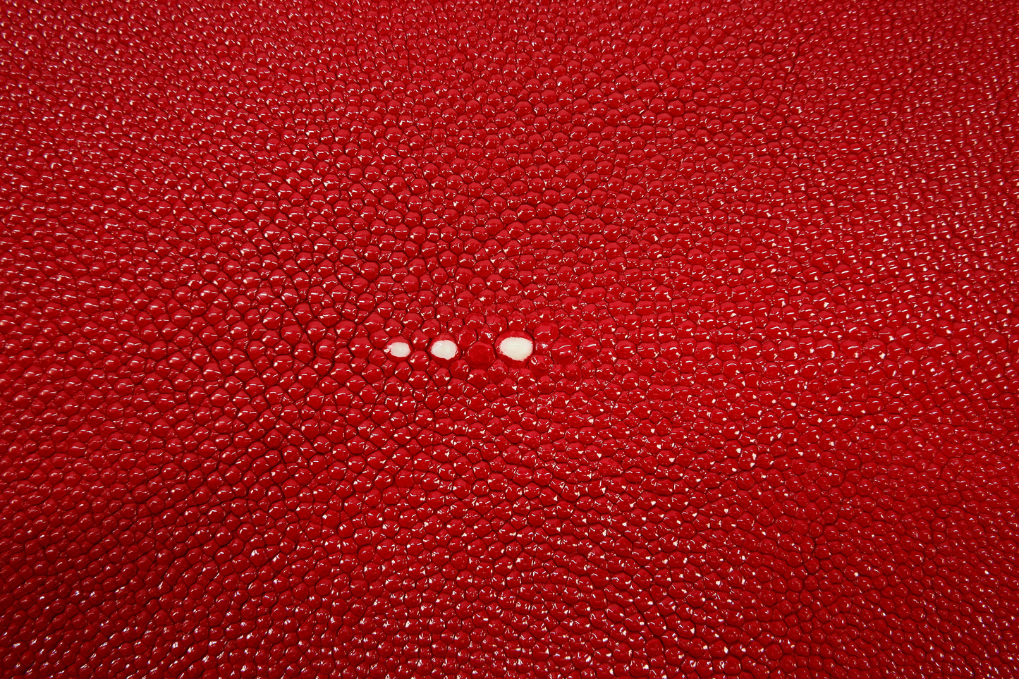 Genuine Stingray Skin Leather Long Shape Hide Pelt Carmine Red