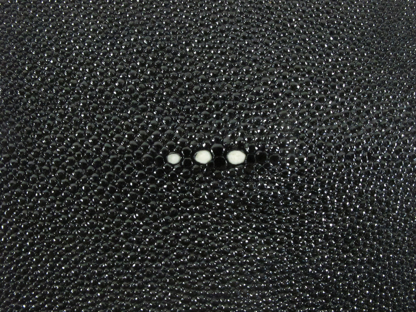 Genuine Stingray Skin Leather Long Shape Hide Pelt Black