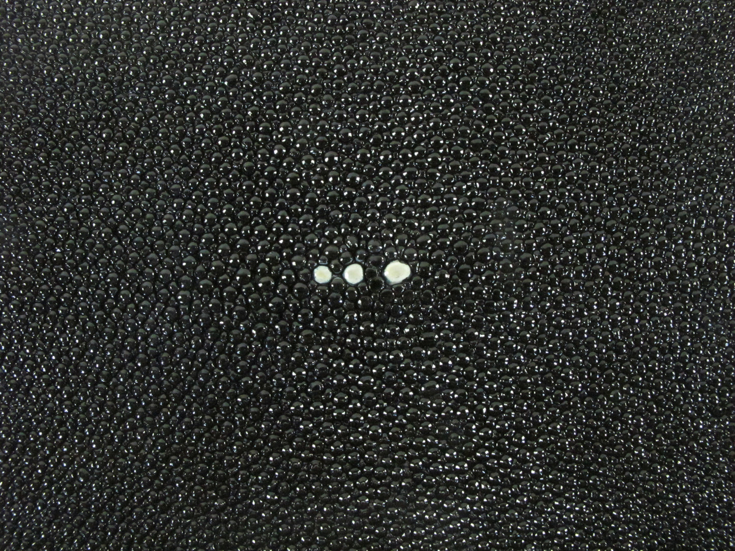 Genuine Stingray Skin Leather Round Shape Hide Pelt Black