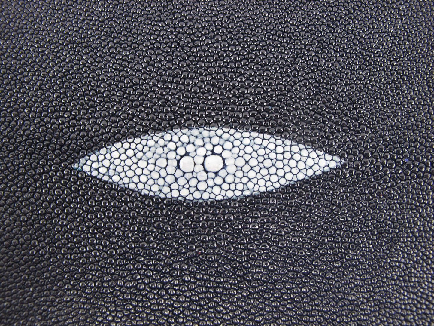 Genuine Stingray Skin Leather Round Shape Hide Pelt Steel Blue