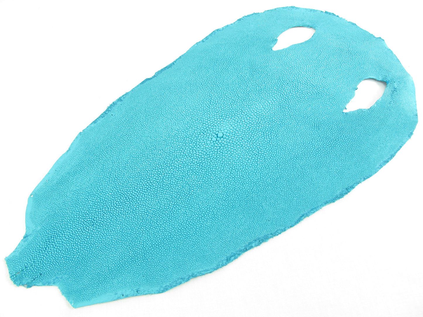 Genuine Stingray Skin Leather Round Shape Hide Pelt Turquoise Blue