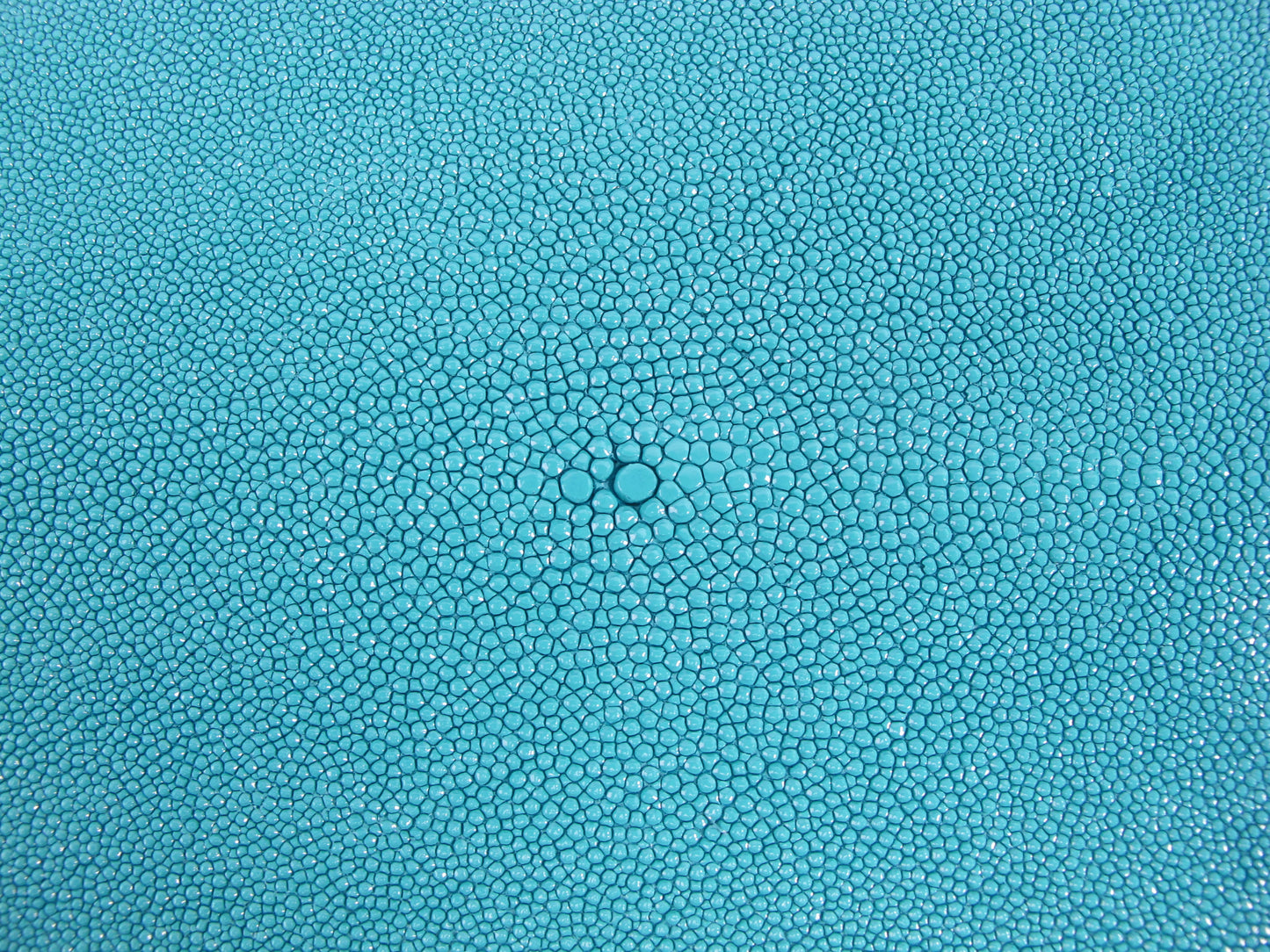 Genuine Stingray Skin Leather Round Shape Hide Pelt Turquoise Blue