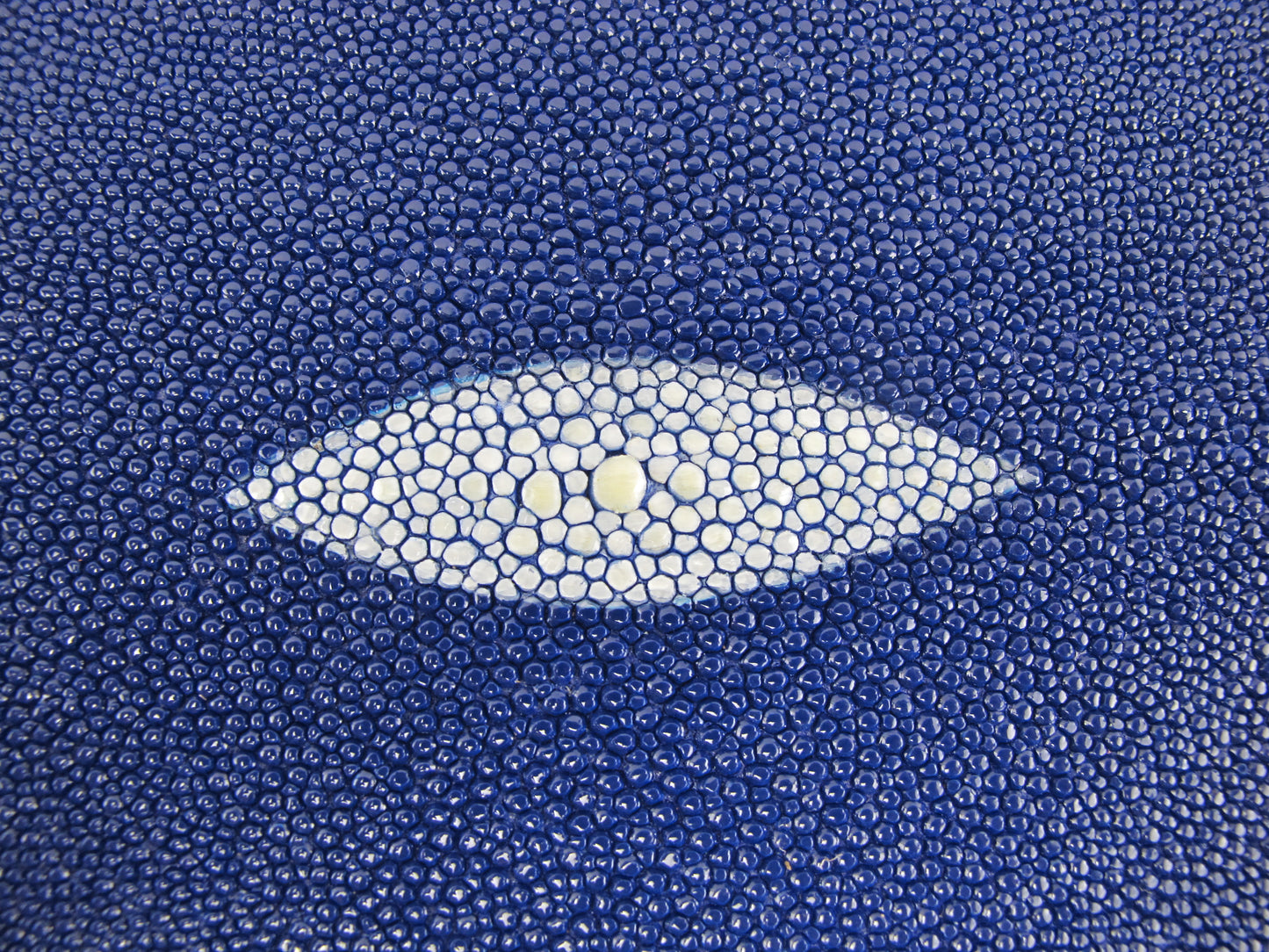 Genuine Stingray Skin Leather Round Shape Hide Pelt Cobalt Blue