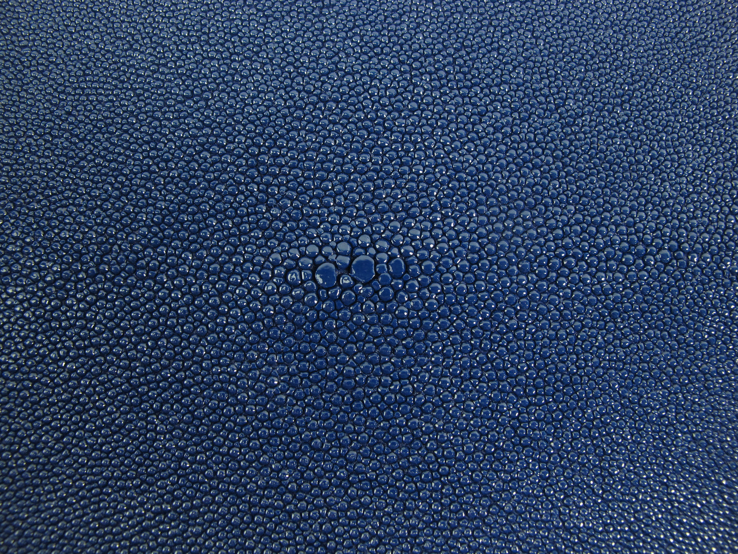 Genuine Stingray Skin Leather Round Shape Hide Pelt Cobalt Blue