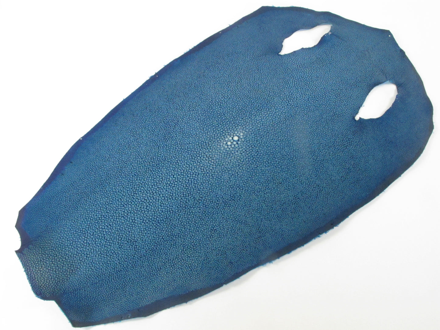 Genuine Polished Stingray Skin Leather Round Shape Hide Pelt Blue