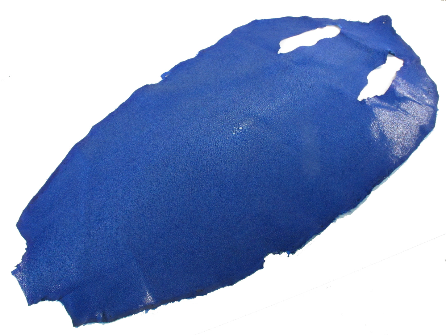 Genuine Polished Stingray Skin Leather Round Shape Hide Pelt Blue