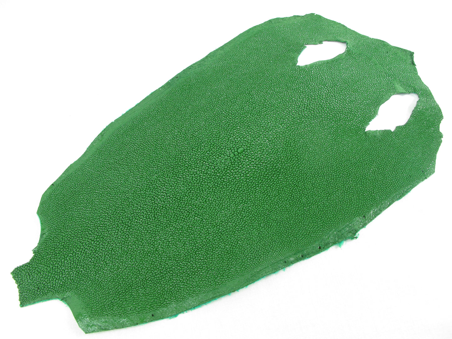 Genuine Stingray Skin Leather Round Shape Hide Pelt Moss Green