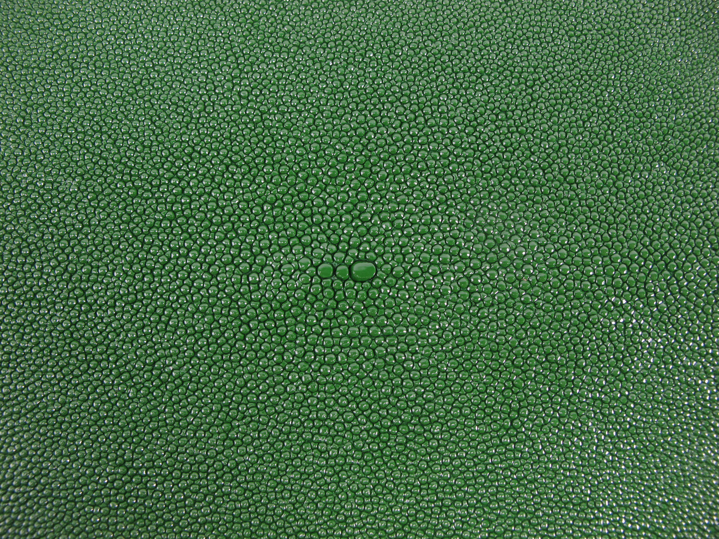 Genuine Stingray Skin Leather Round Shape Hide Pelt Moss Green