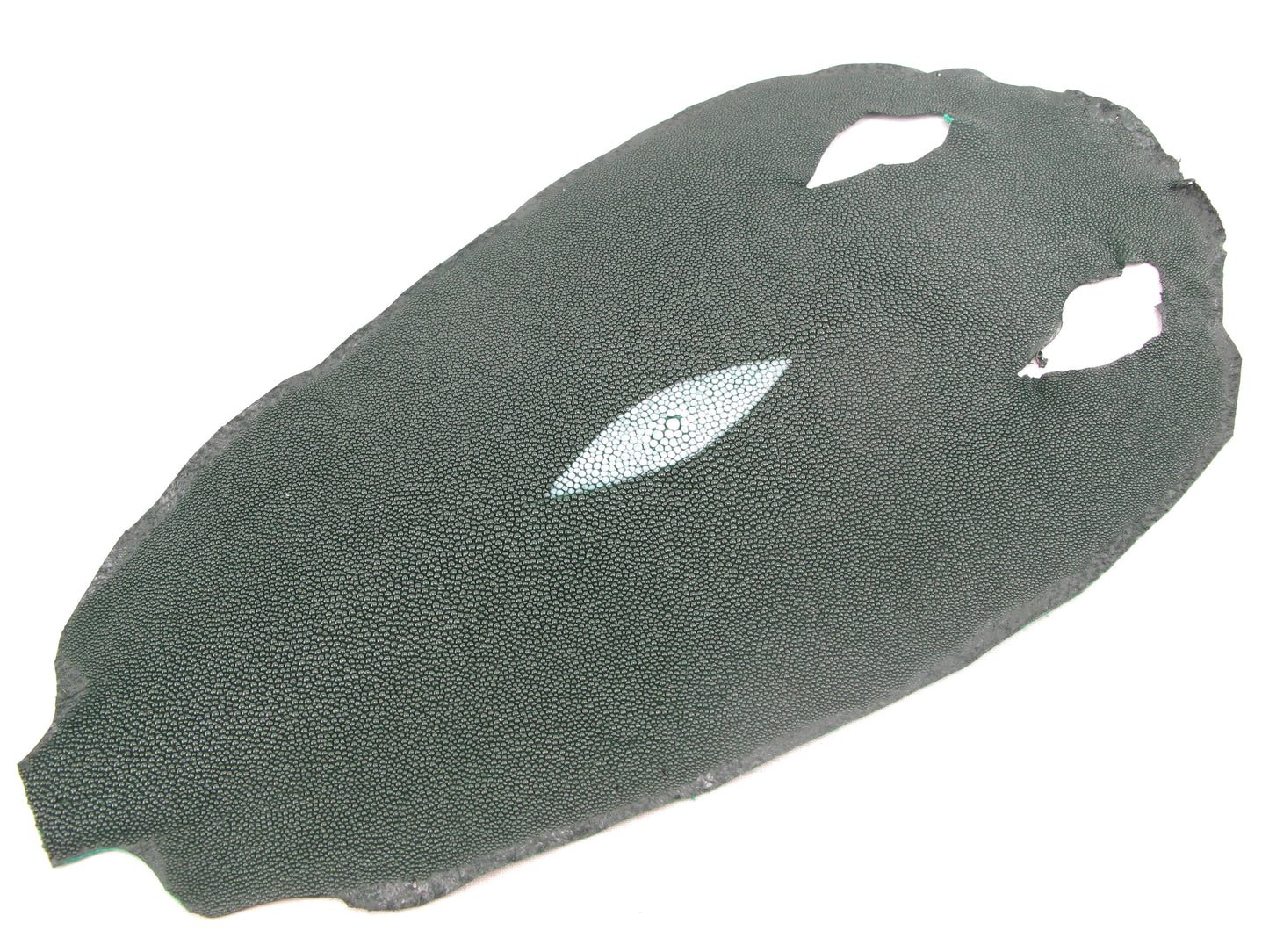 Genuine Stingray Skin Leather Round Shape Hide Pelt Fir Green