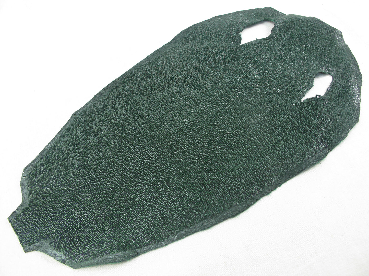 Genuine Stingray Skin Leather Round Shape Hide Pelt Fir Green