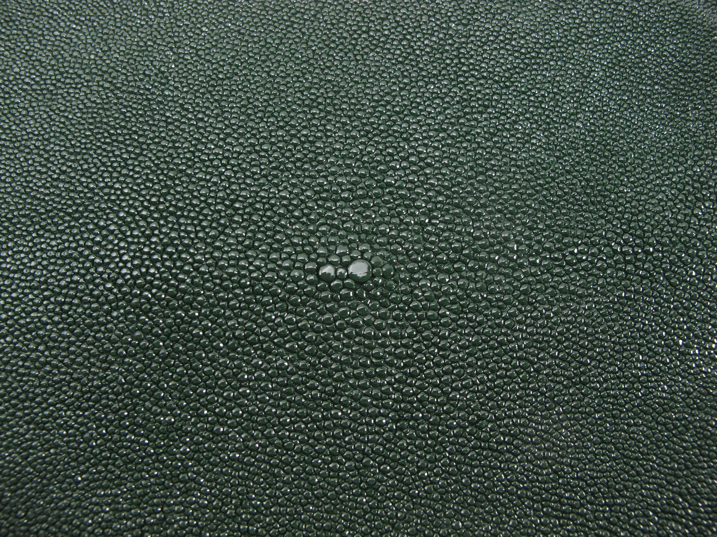 Genuine Stingray Skin Leather Round Shape Hide Pelt Fir Green