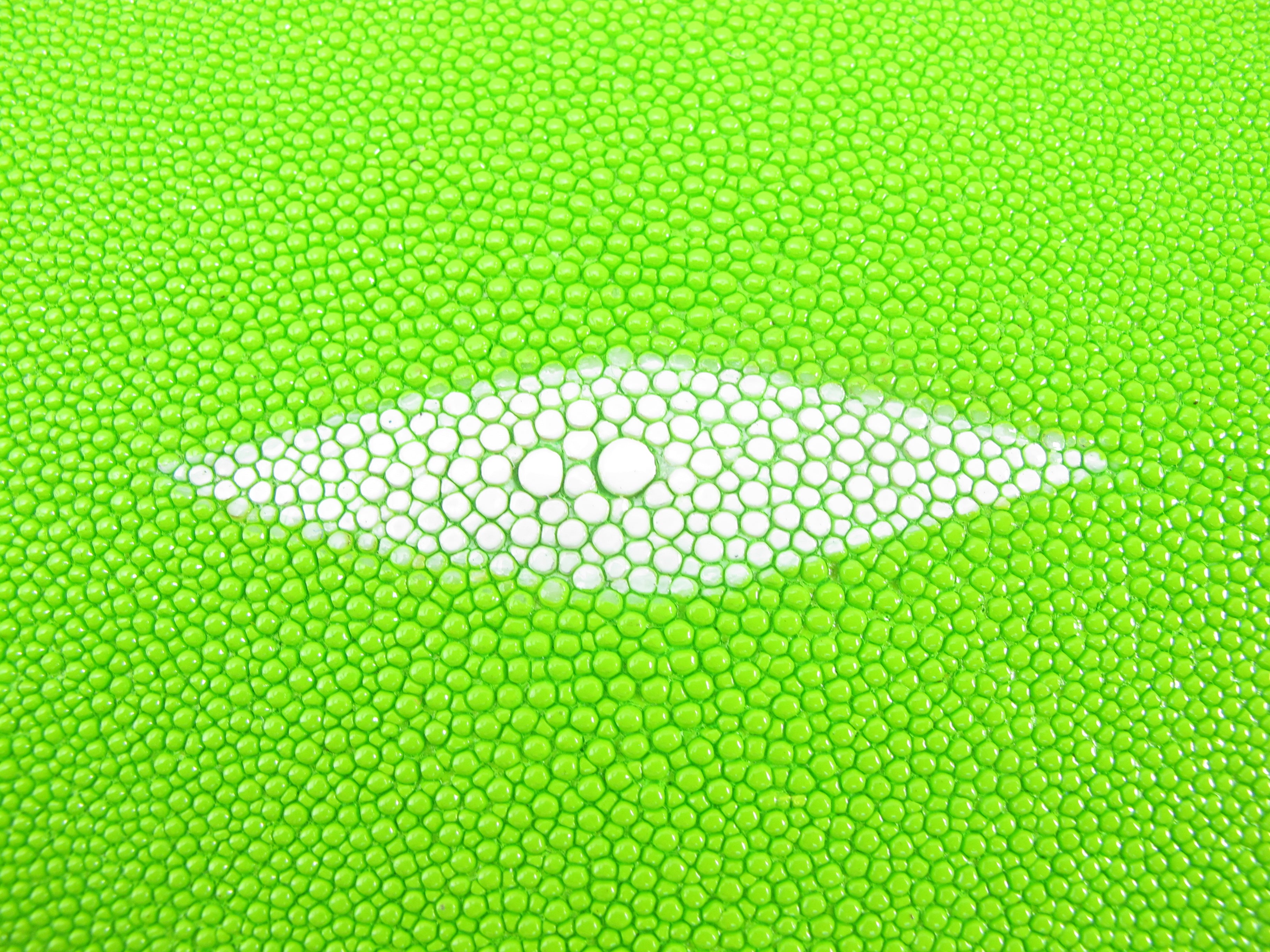 福袋 大丸 Shape Round Leather Skin Stingray Genuine Hide Neon Pelt カーナビ・カーエレクトロニクス