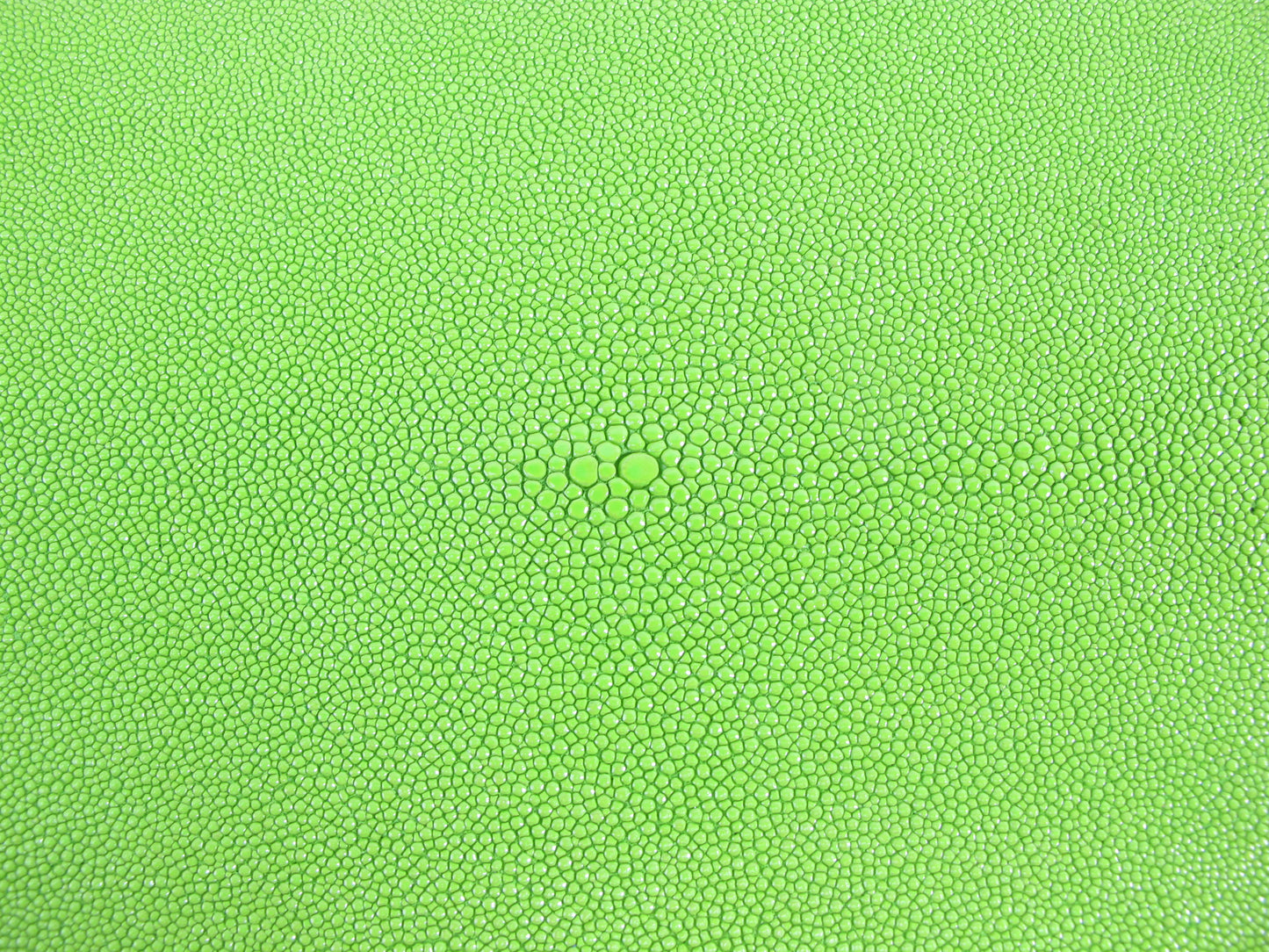 Genuine Stingray Skin Leather Round Shape Hide Pelt Neon Green