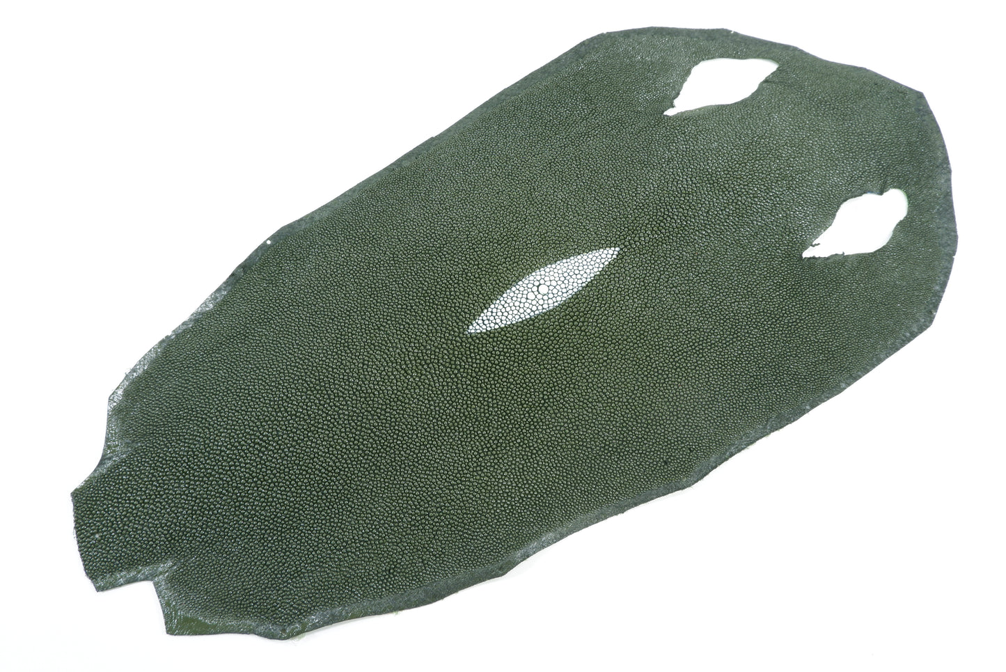 Genuine Stingray Skin Leather Round Shape Hide Pelt Chrome Green