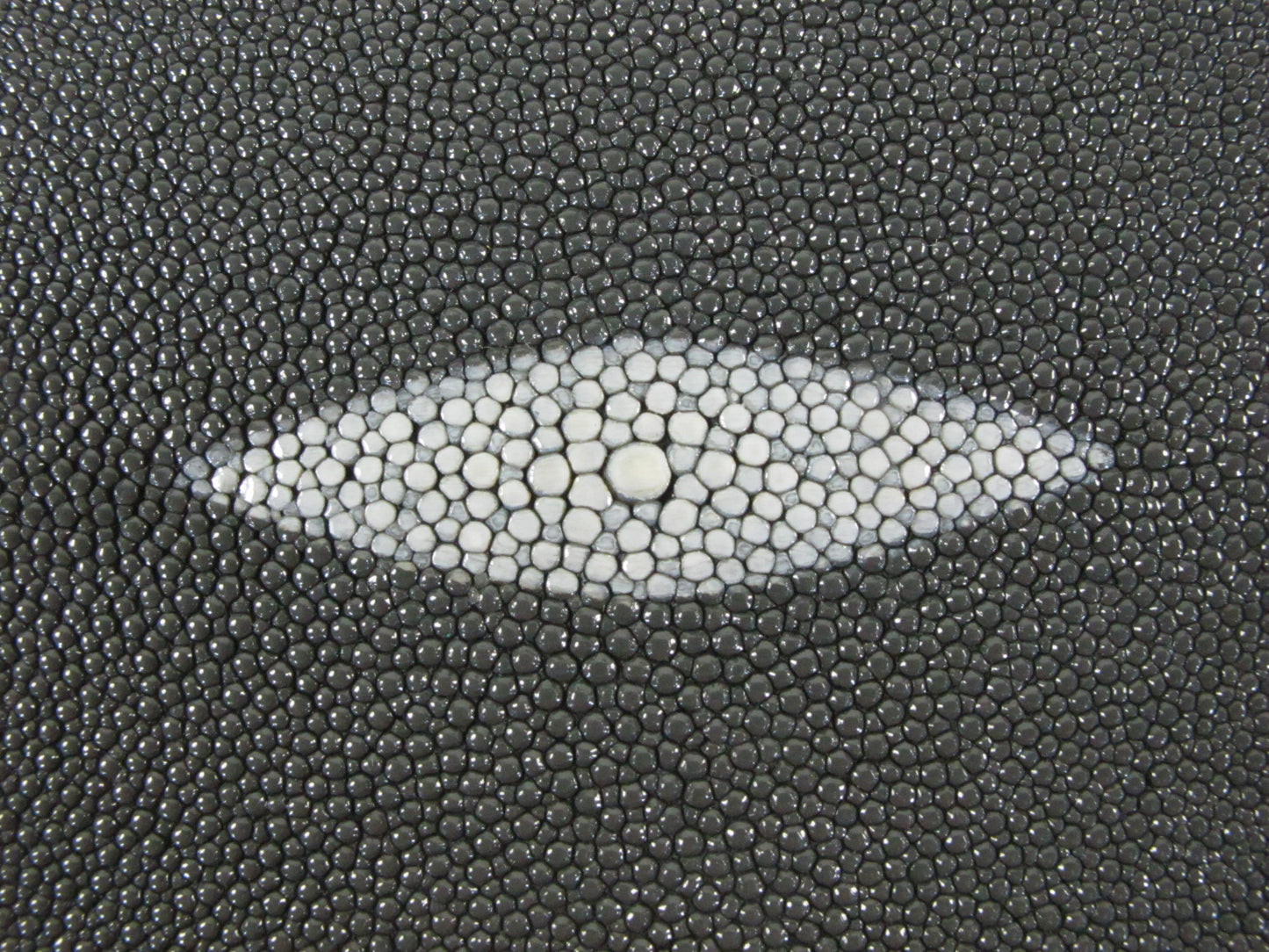 Genuine Stingray Skin Leather Round Shape Hide Pelt Traffic Grey