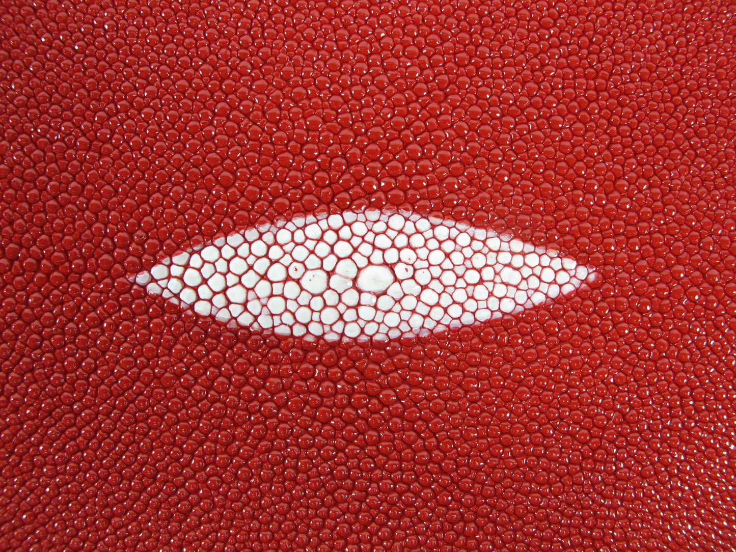 Genuine Stingray Skin Leather Round Shape Hide Pelt Carmine Red