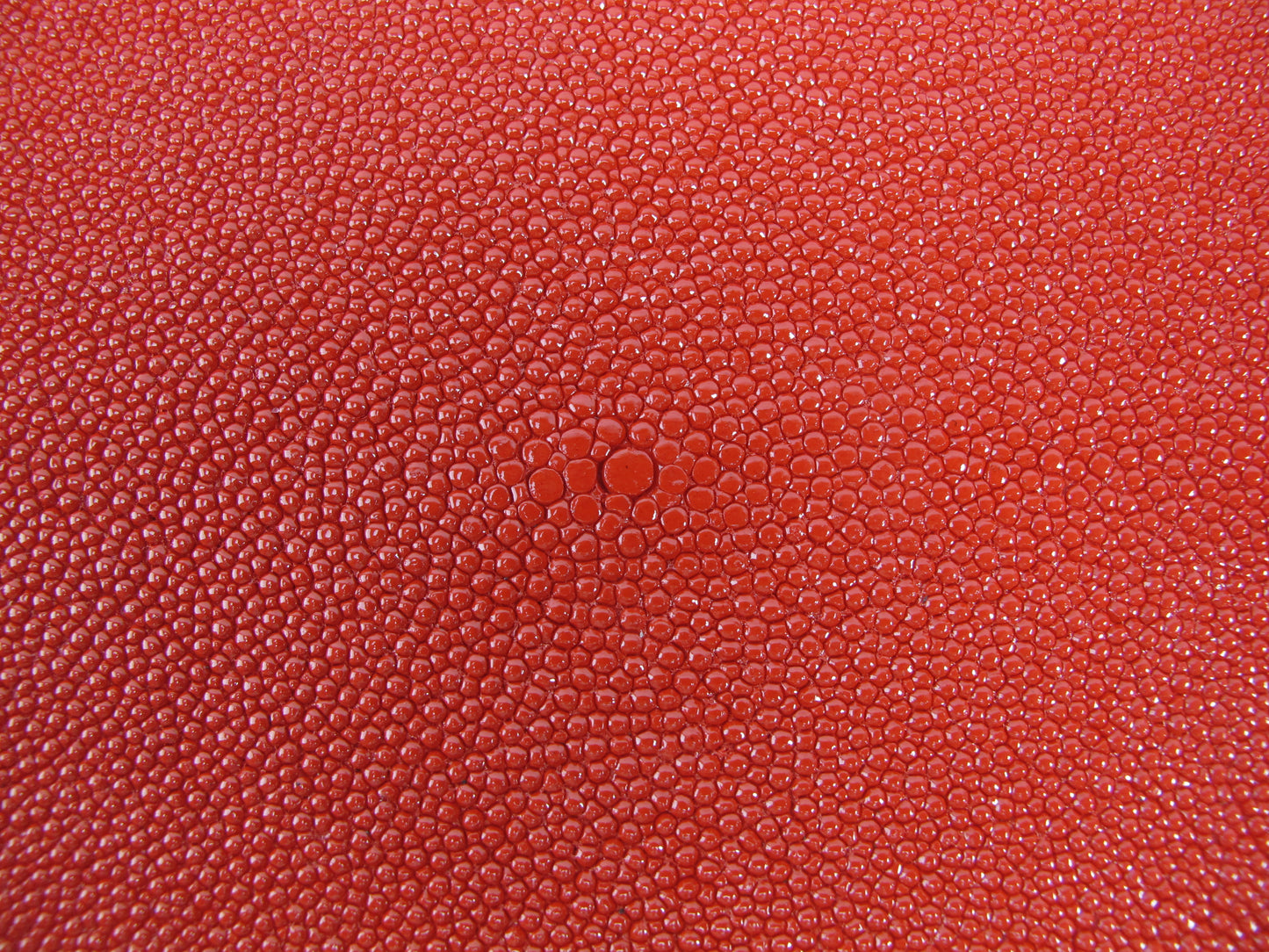 Genuine Stingray Skin Leather Round Shape Hide Pelt Carmine Red