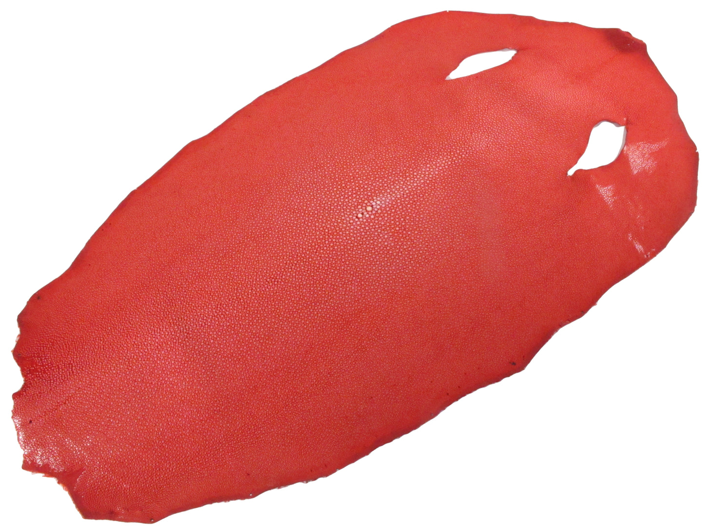 Genuine Polished Stingray Skin Leather Round Shape Hide Pelt Red