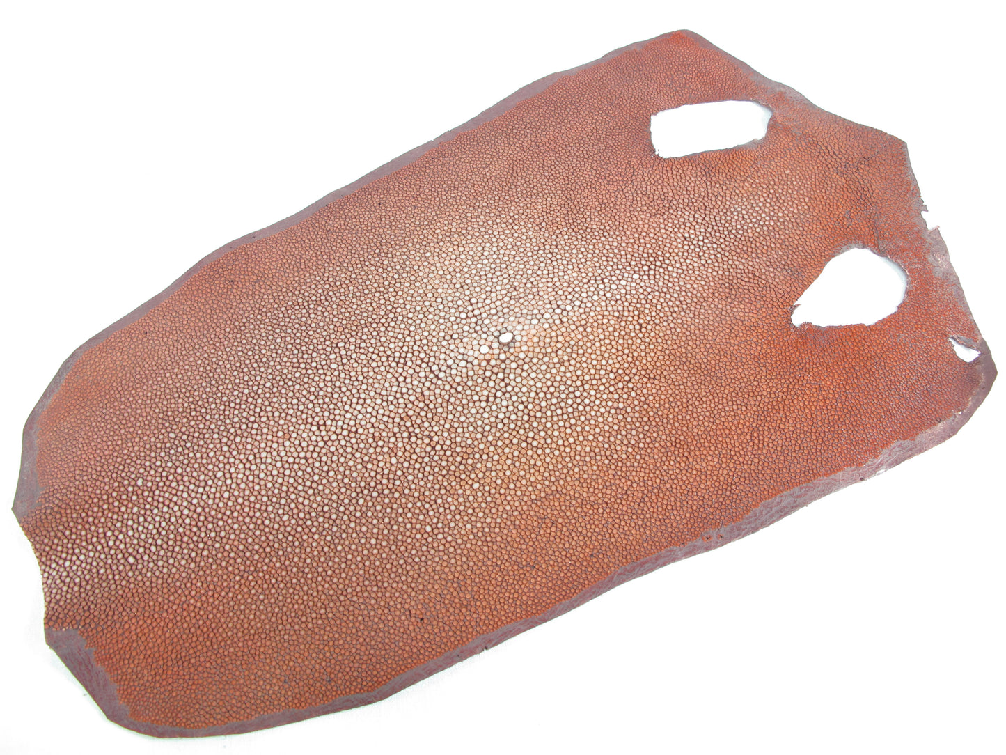 Genuine Polished Stingray Skin Leather Round Shape Hide Pelt Red