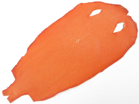 Genuine Polished Stingray Skin Leather Round Shape Hide Pelt Orange