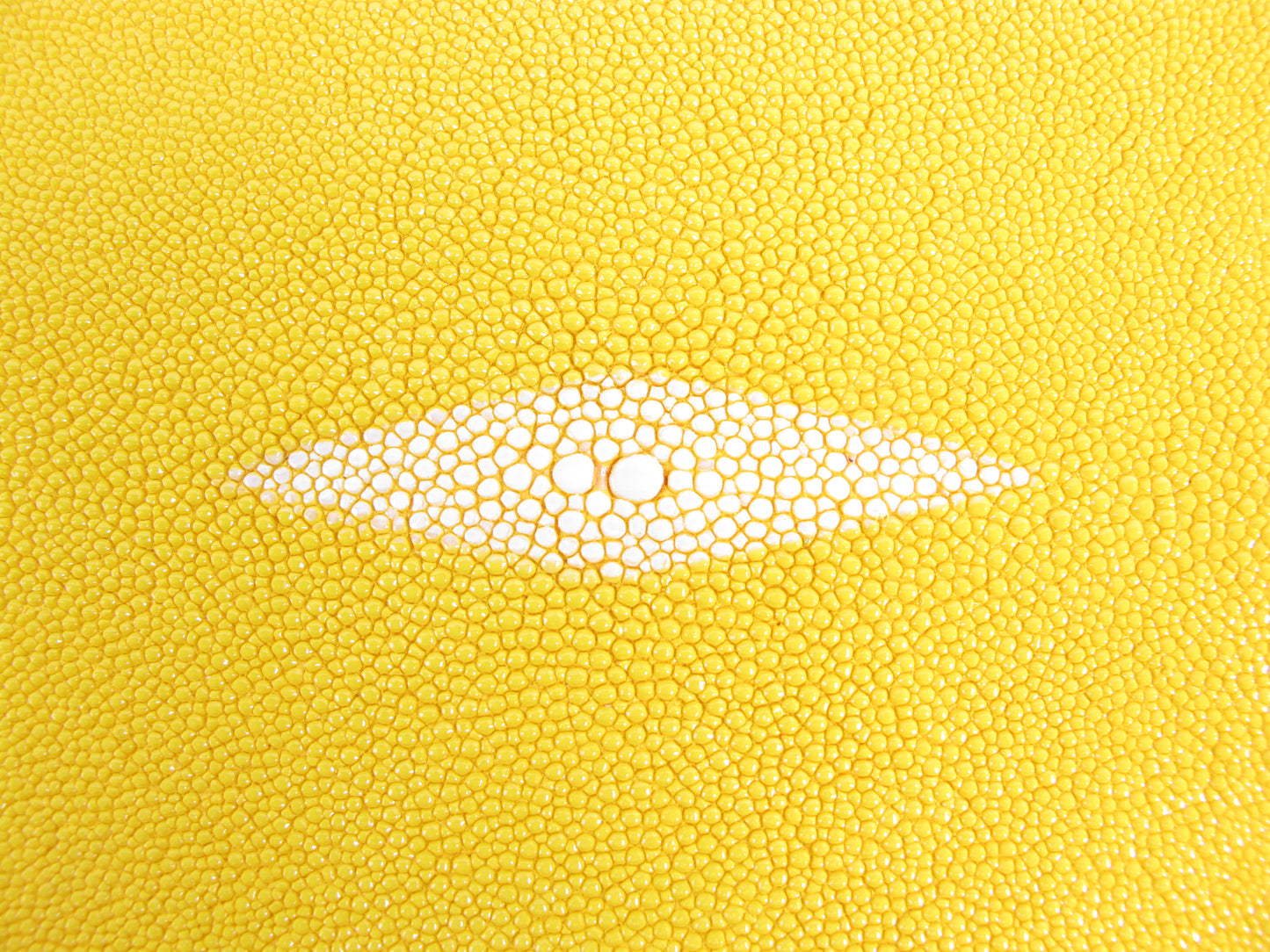 Genuine Stingray Skin Leather Round Shape Hide Pelt Traffic Yellow