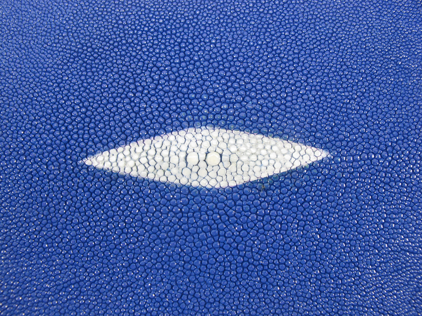 Genuine Stingray Skin Leather Round Shape Hide Pelt Ultramarine Blue