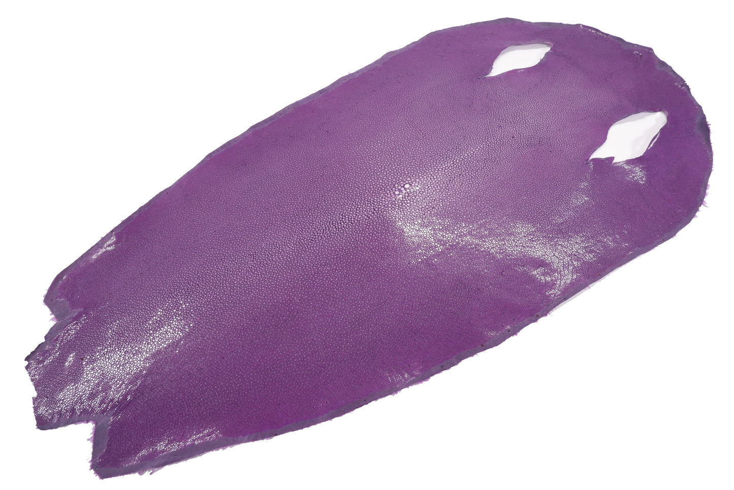 Genuine Polished Stingray Skin Leather Round Shape Hide Pelt Purple