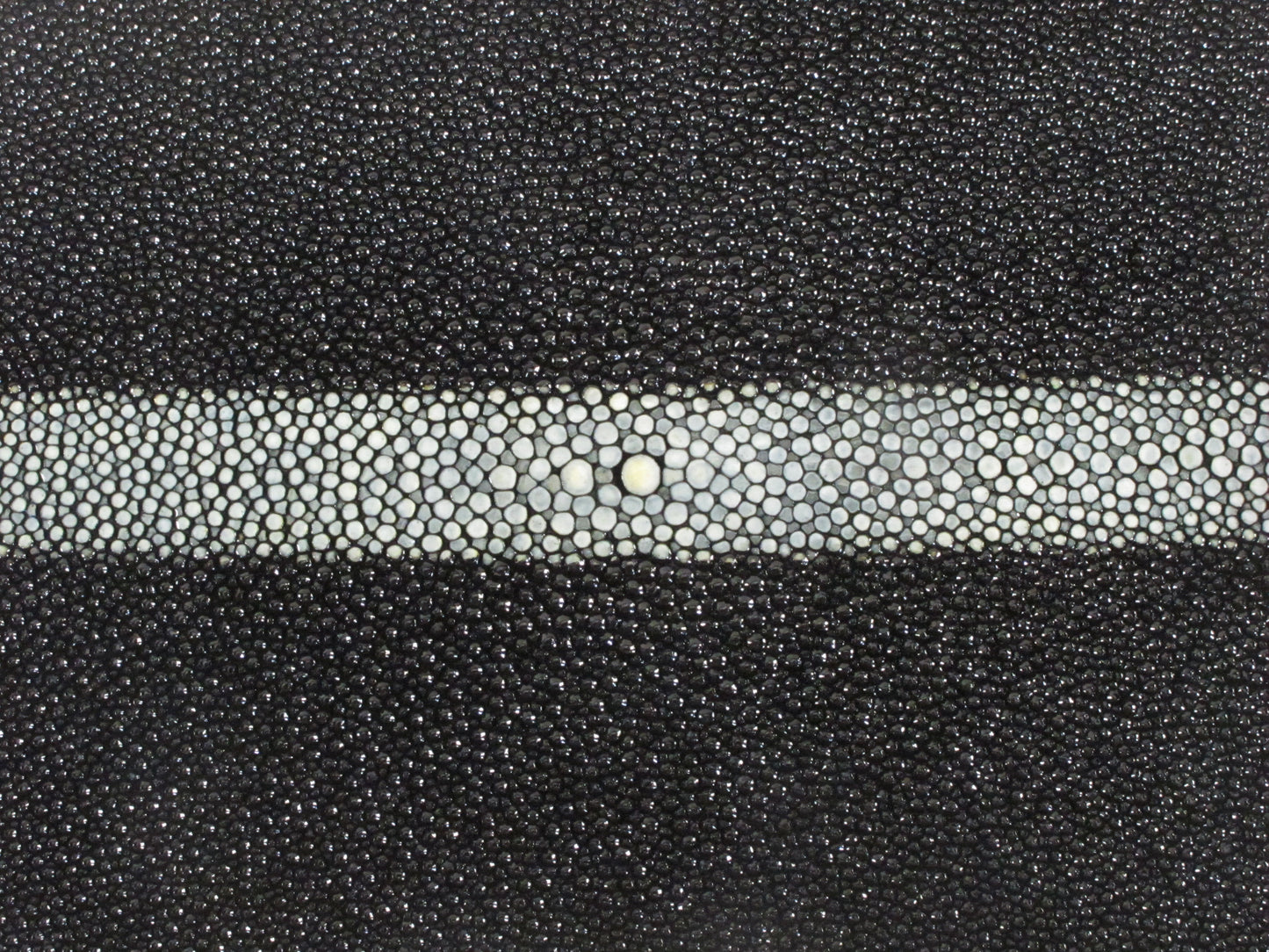 Genuine Stingray Skin Leather Round Shape Hide Pelt Black