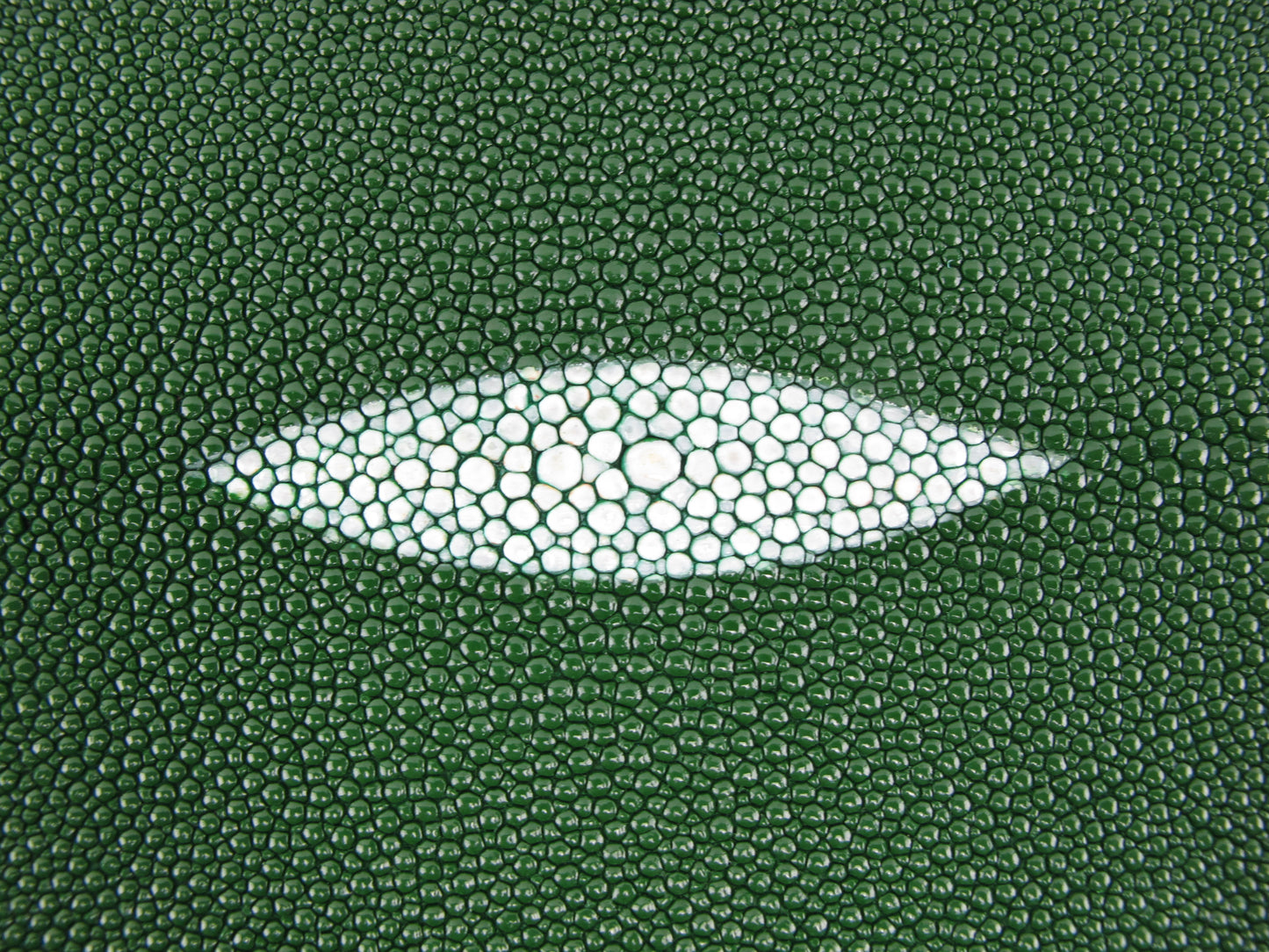 Genuine Stingray Skin Leather Round Shape Hide Pelt Moss Green