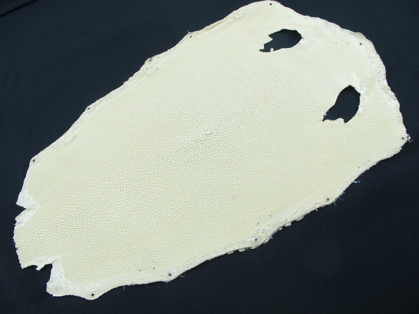 Genuine Stingray Skin Leather Round Shape Hide Pelt Sand Yellow