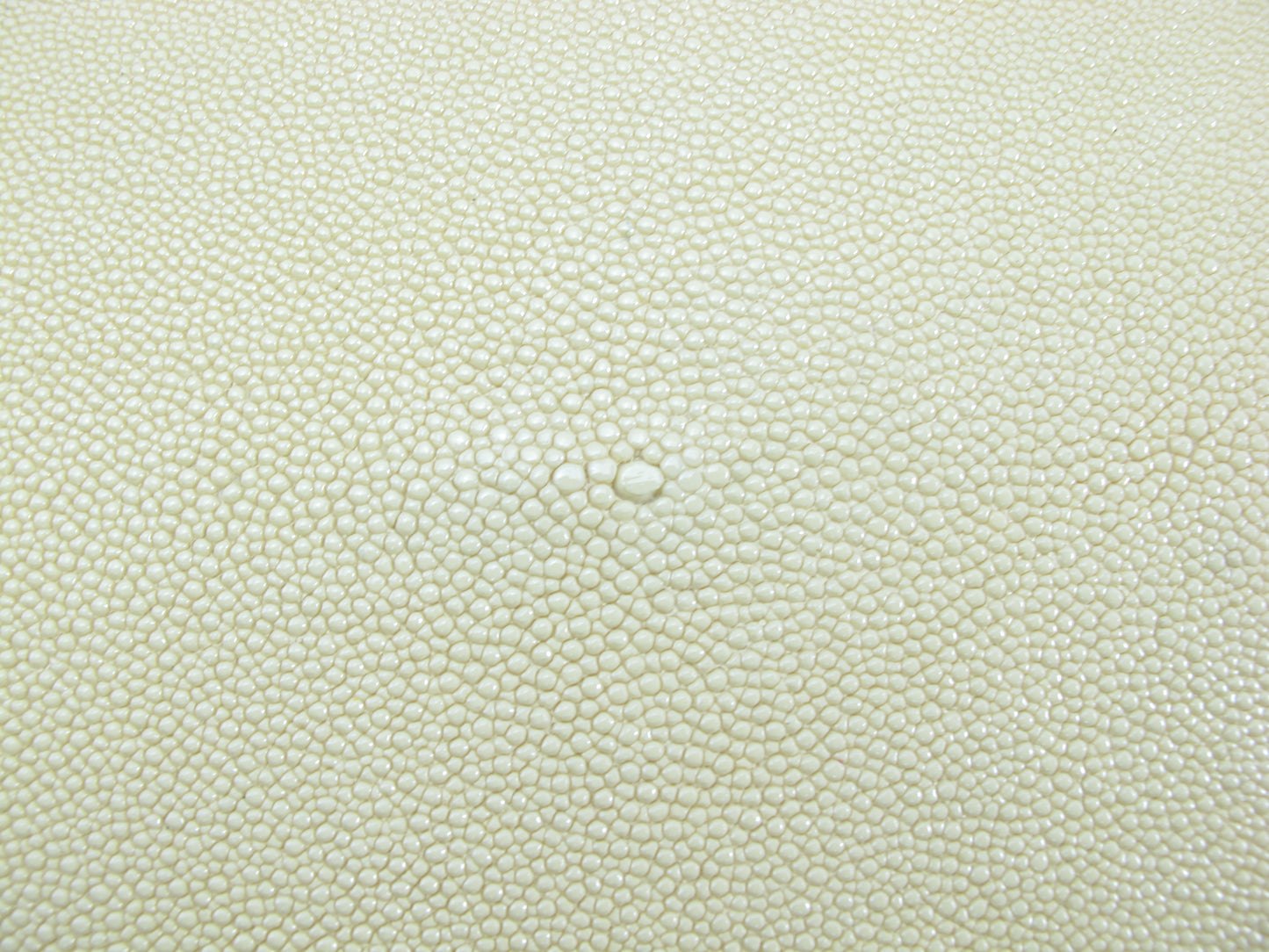 Genuine Stingray Skin Leather Round Shape Hide Pelt Sand Yellow