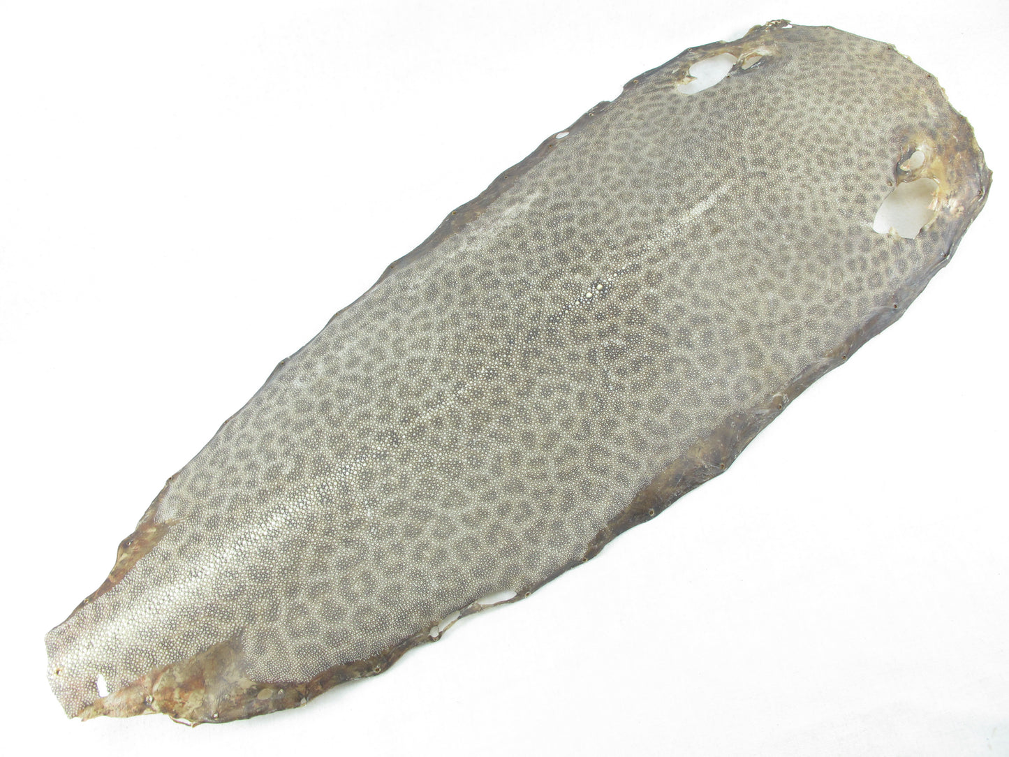 Genuine Dried Tiger Stingray Skin Round Shape for Japanese Samurai Sword Katana & Decorate