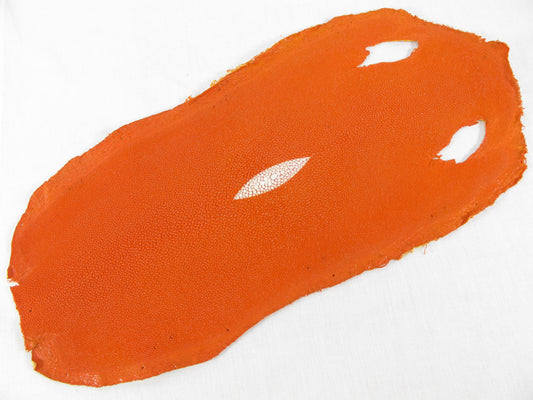 Genuine Stingray Skin Leather Long Shape Hide Pelt Traffic Orange