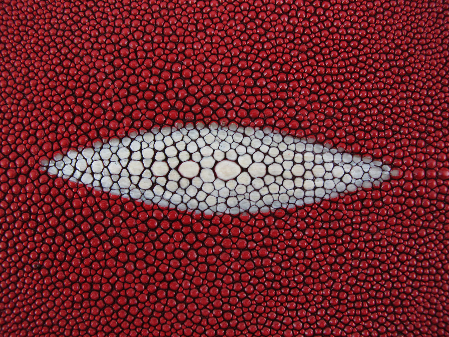 Genuine Stingray Skin Leather Long Shape Hide Pelt Ruby Red