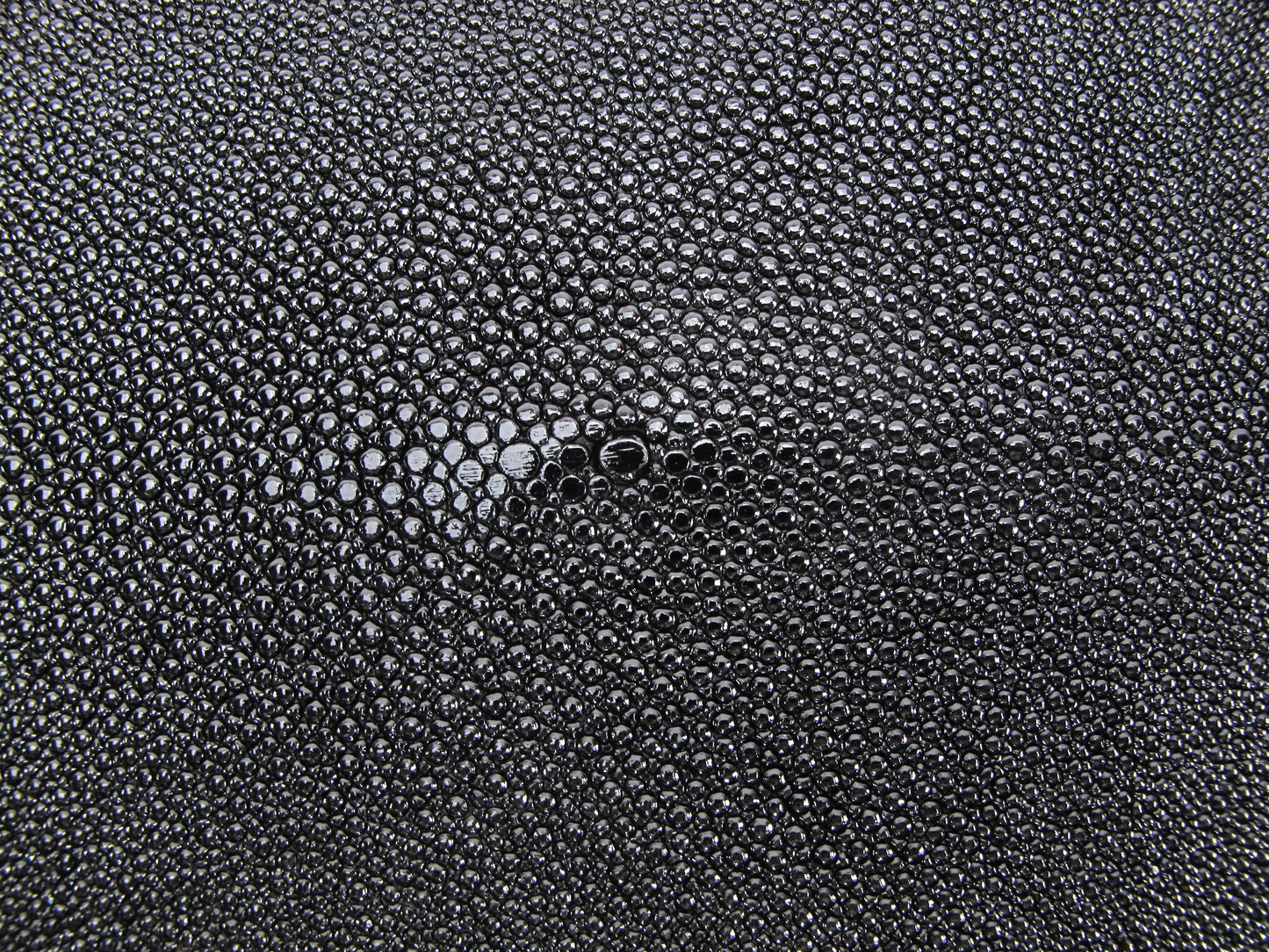 Genuine Stingray Skin Leather Long Shape Hide Pelt Black