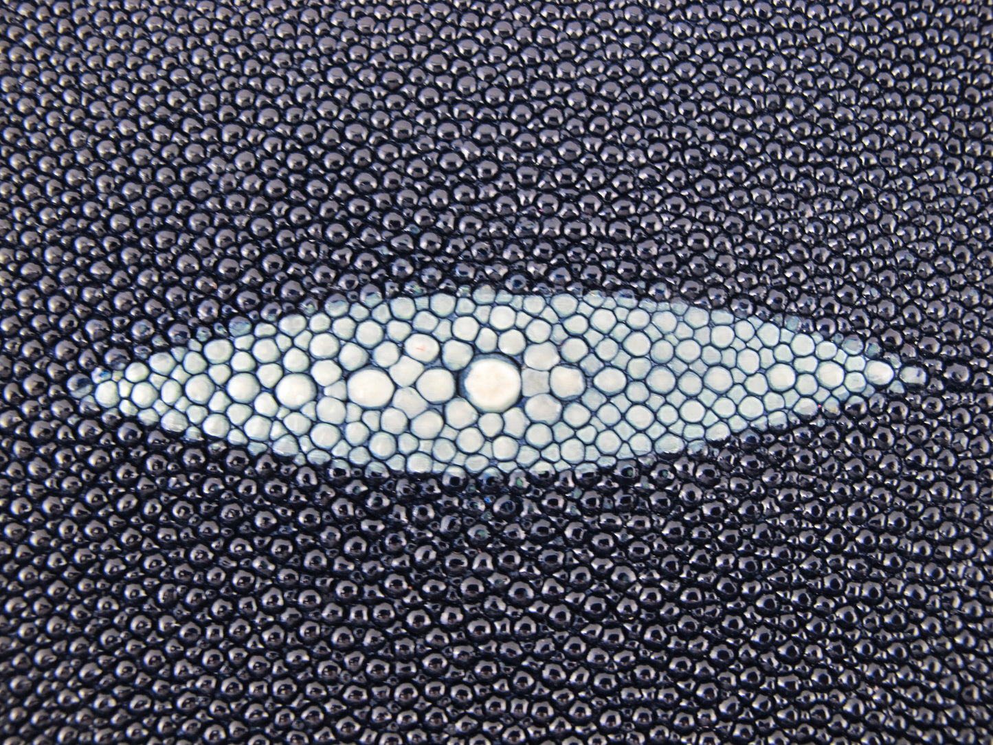 Genuine Stingray Skin Leather Long Shape Hide Pelt Steel Blue