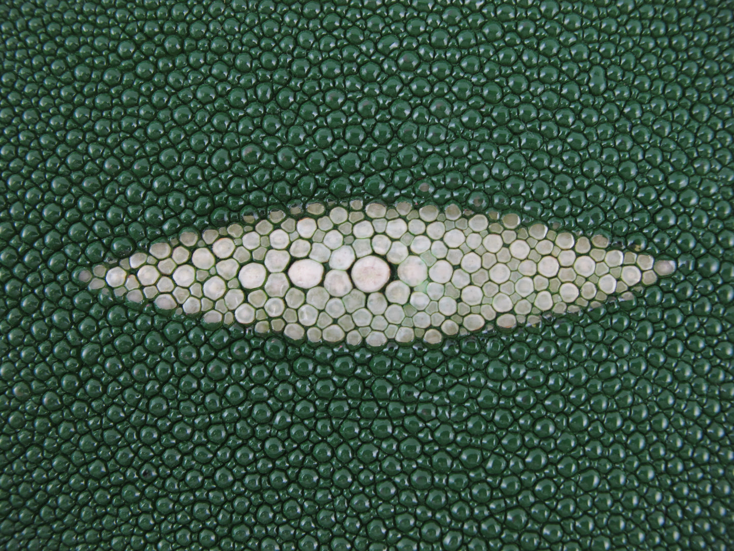 Genuine Stingray Skin Leather Long Shape Hide Pelt Moss Green